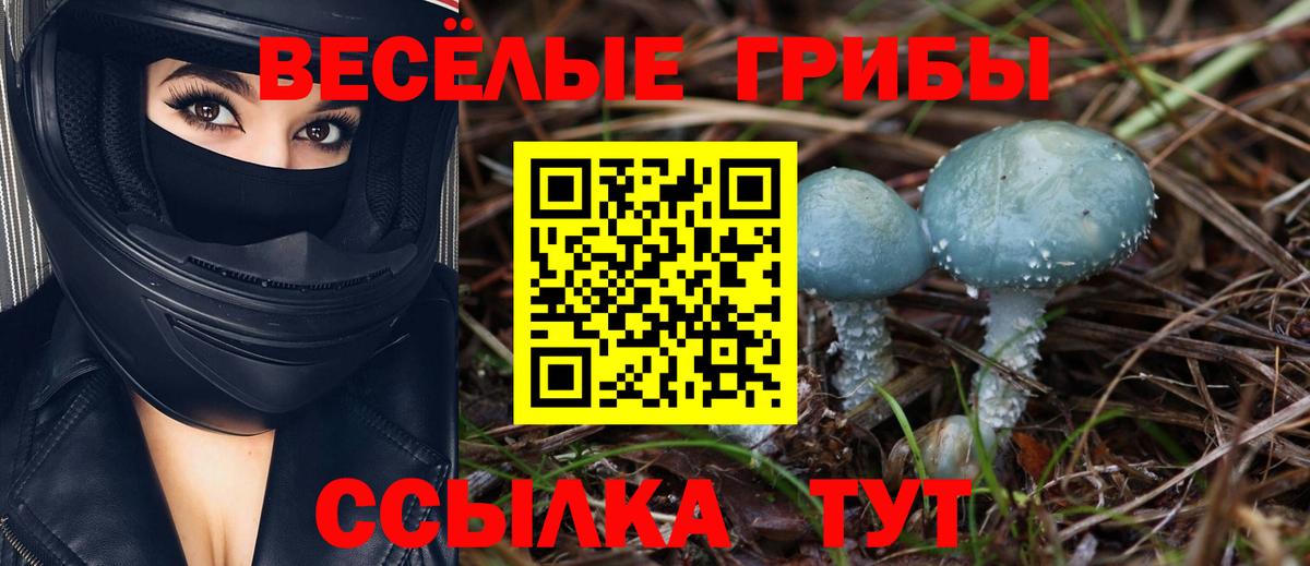 Галлюциногенные грибы мухоморы  Вход с VPN  Клинцы  Псилоцибиновые грибы Cubensis 